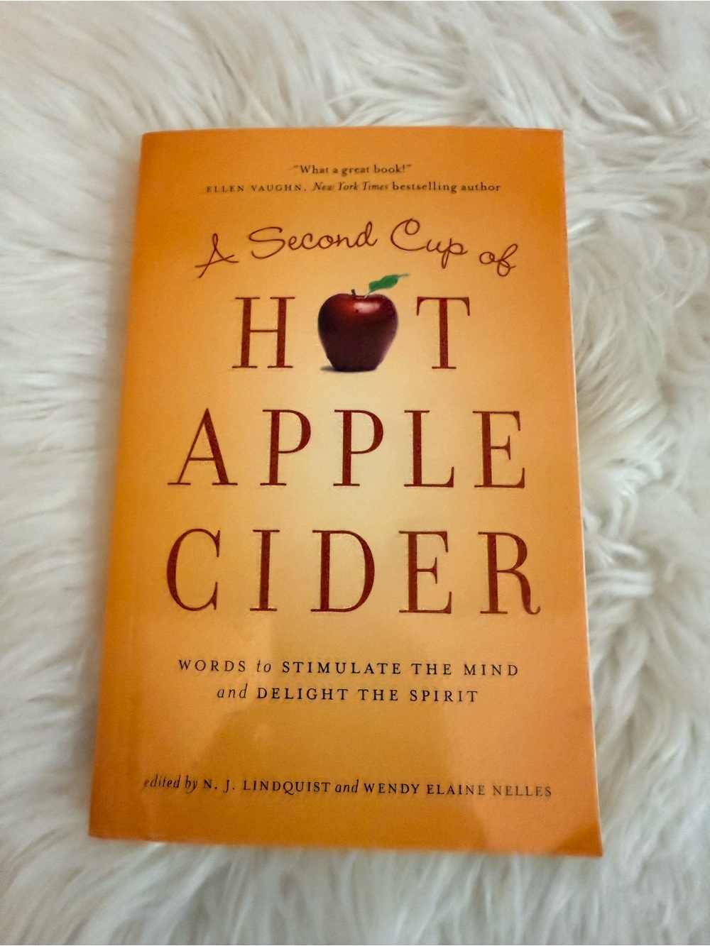 💫10/$25 • A Second Cup Of Hot Apple Cider Paperback